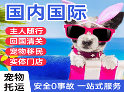 巴中恩阳空运代理国际宠物托运 【国