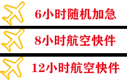巴中恩阳空运代理快递公司,专业空运当天件